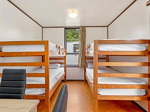 6-Berth Family Cabin